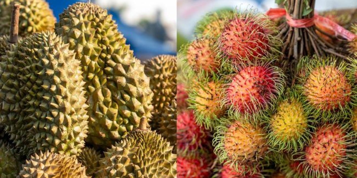 FOTO: Durian dan Buah Rambutan (sumber: iStockphoto/Thai Liang Lim)