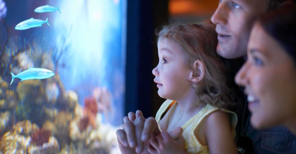 FOTO: iStock