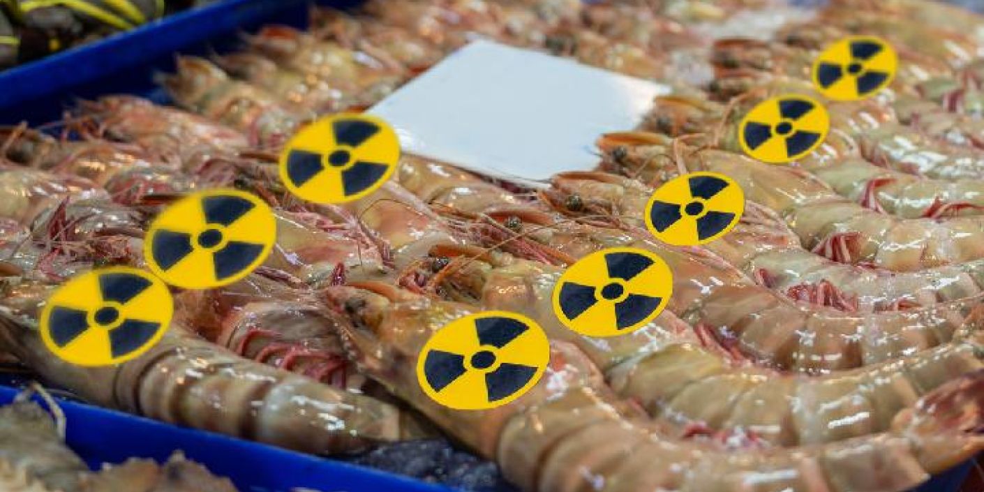 FOTO: Ilustrasi Udang Indonesia telah Terkontaminasi Cesium-137 (sumber: shutterstock)