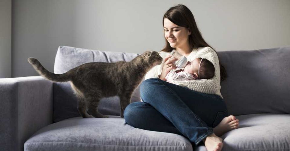 Ilustrasi ibu, anak, dan kucing (Freepik)